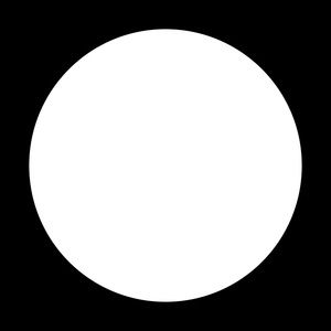 Meet your Posher, Dina